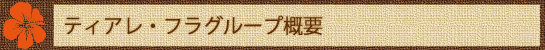 ティアレ・フラグループ概要